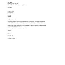 Marvelous Resignation Letter To Team