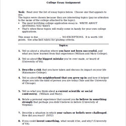 Free Sample College Essay Templates In Ms Word Assignment Essays