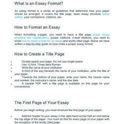 Perfect College Essay Format Templates Examples