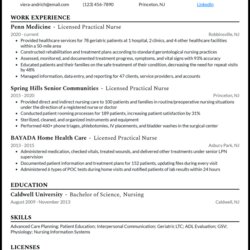 Resume Examples For Professional Example