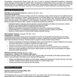 Best Resume Images On Sample And Nursing Nurse Patient Examples Care Advocate Resumes Success Samples