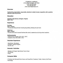 High Quality Simple Resume Examples Professional Basic