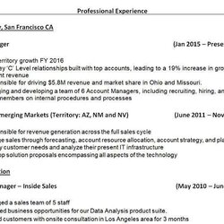 Worthy Previous Work Experience Examples For Resume Sample History