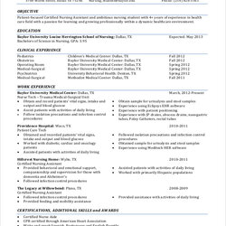 The Highest Standard Free Sample Objective Statement Resume Templates In Nursing Example