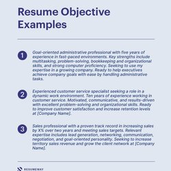 Resume Objective Examples For How To Guide Objectives Seeking Curriculum Vitae Expertise