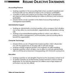 Sample Resume Objective Statement Window Examples Statements Job Good Writing Career Write Objectives Samples